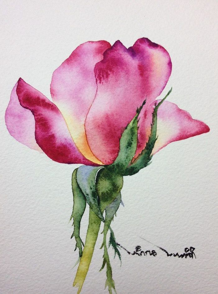 a-dibujar-una-rosa-colores-para-rsas-dibujos-de-rosas-faciles-dibujos -de-rosas-y-flores-faciles-de-hacer-en-fotos - Capital del Arte