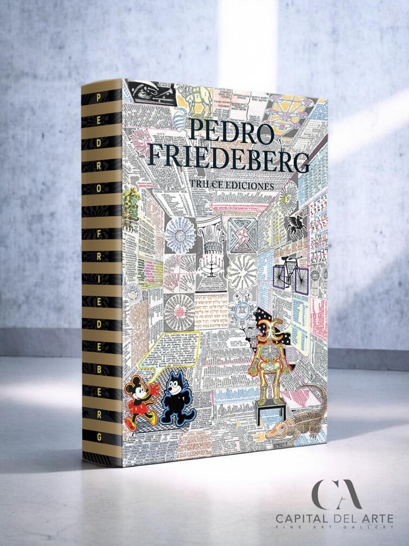 Libro Pedro Friedeberg